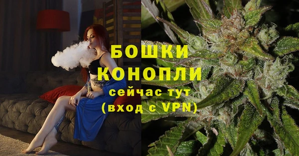 ГАЛЛЮЦИНОГЕННЫЕ ГРИБЫ Кукмор