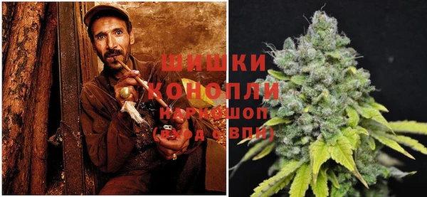 ГАЛЛЮЦИНОГЕННЫЕ ГРИБЫ Кукмор